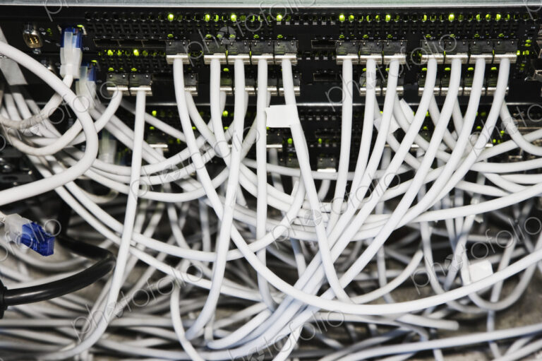 Cat 5 cables hooked to servers in a computer server farm.