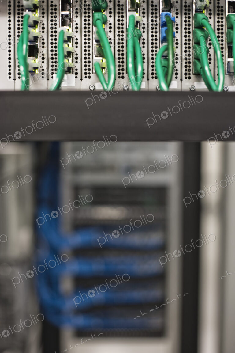 Cat 5 cables plugged into an individual server in a computer server farm.