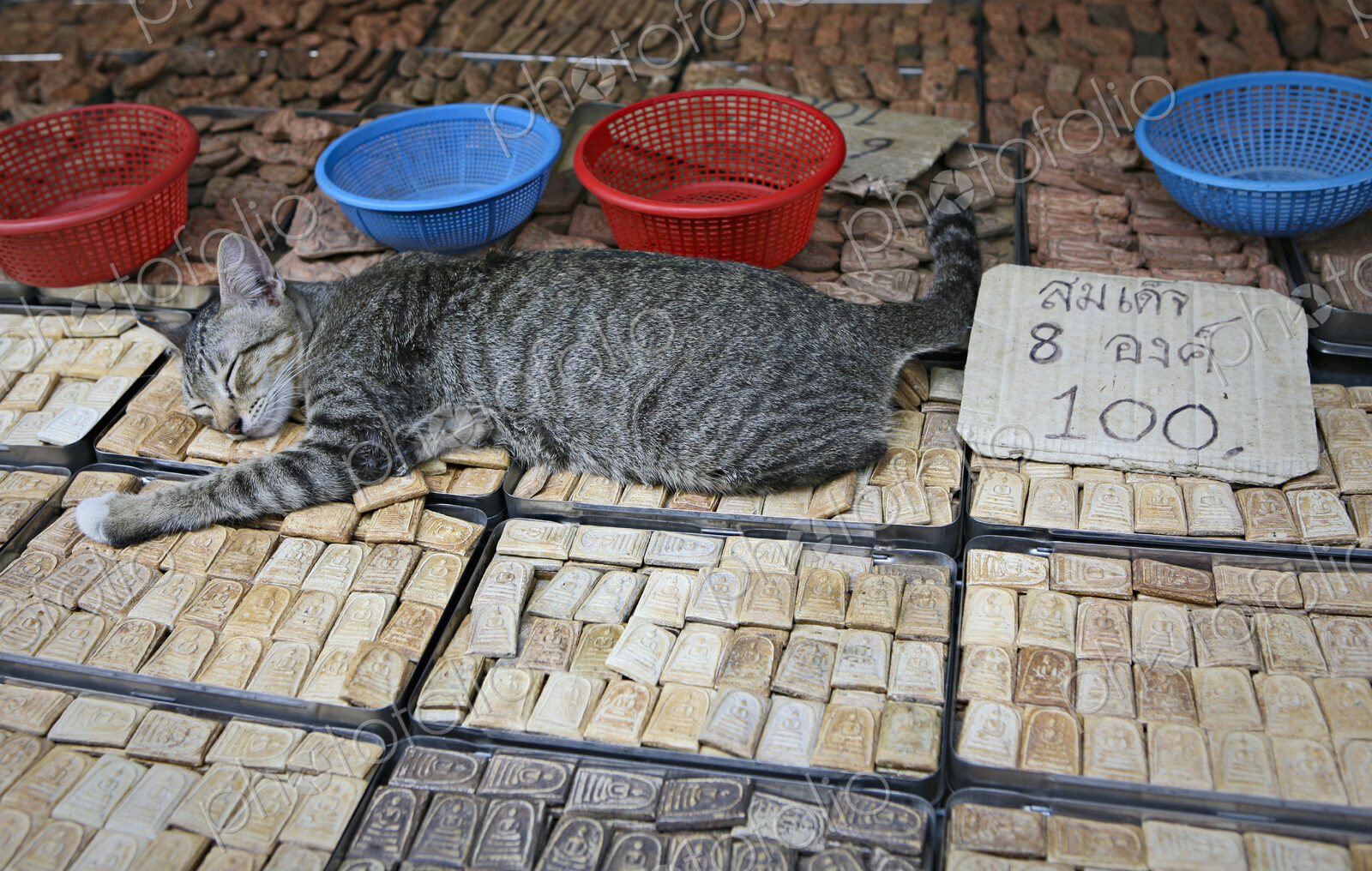 Cat sleeping on trinkets in marketplace