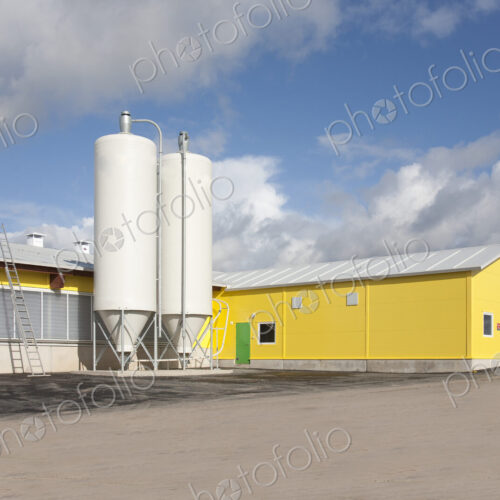 Cattle Feeding Tanks Cattle Feeding Tanks