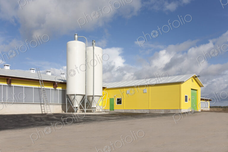 Cattle Feeding Tanks