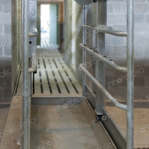 Cattle Foot Bath Walkway Cattle Foot Bath Walkway