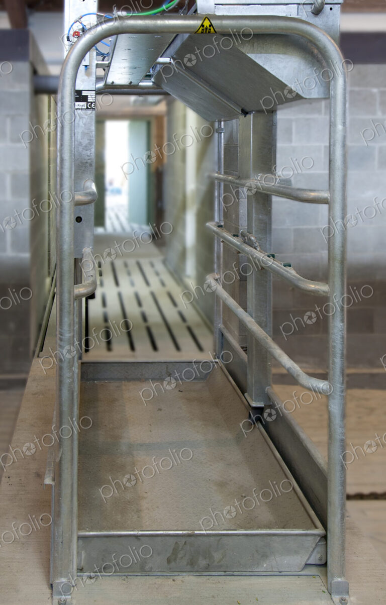 Cattle Foot Bath Walkway