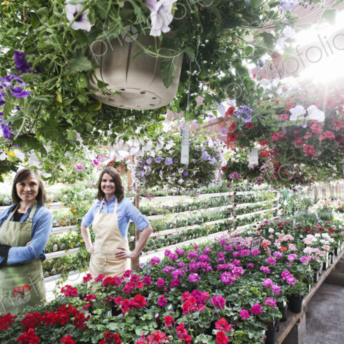 Caucasain woman owner and employee at a garden center nursery in the early morning.