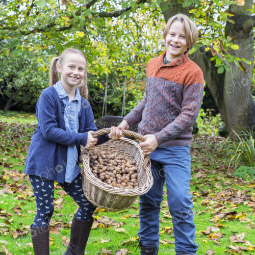 Caucasian brother and sister posing with basket of nuts Caucasian brother and sister posing with basket of nuts