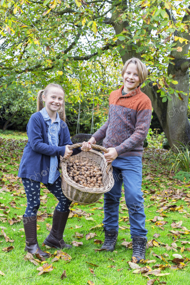 Caucasian brother and sister posing with basket of nuts