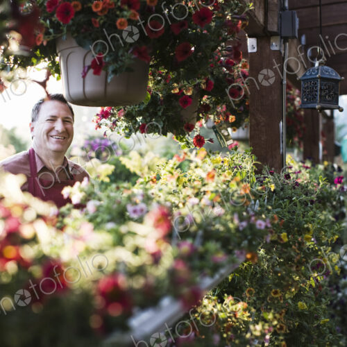 Caucasian man, a garden centre business owner standing among flowering plants in early… Caucasian man, a garden centre business owner standing among flowering plants in early…