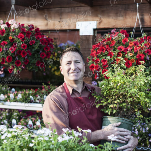 Caucasian man, a nursery owner standing holding a large plant in a pot, by displays of… Caucasian man, a nursery owner standing holding a large plant in a pot, by displays of…