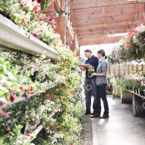 Caucasian man and woman shopping for new plants at a garden center nurery.