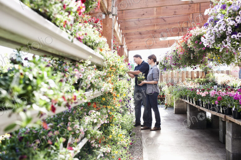 Caucasian man and woman shopping for new plants at a garden center nurery.