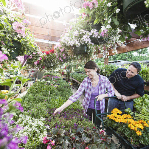 Caucasian man and woman shopping for new plants at a garden center nurery. Caucasian man and woman shopping for new plants at a garden center nurery.