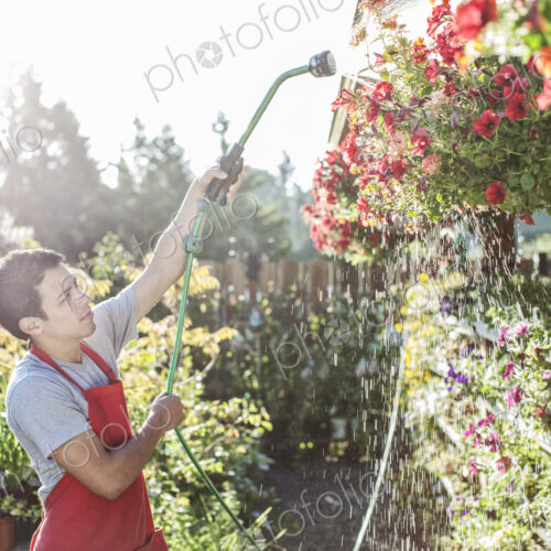 Caucasian man employee watering plants at a garden center nursery. Caucasian man employee watering plants at a garden center nursery.