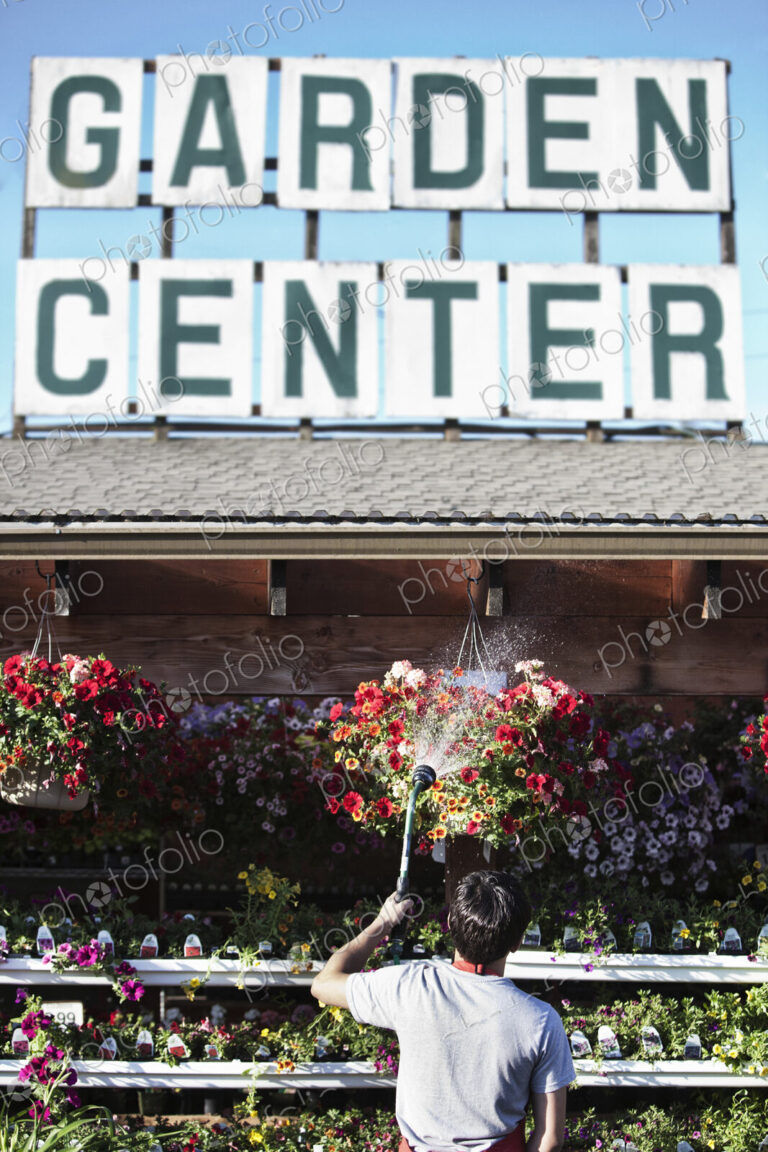 Caucasian man employee watering plants at a garden center nursery.