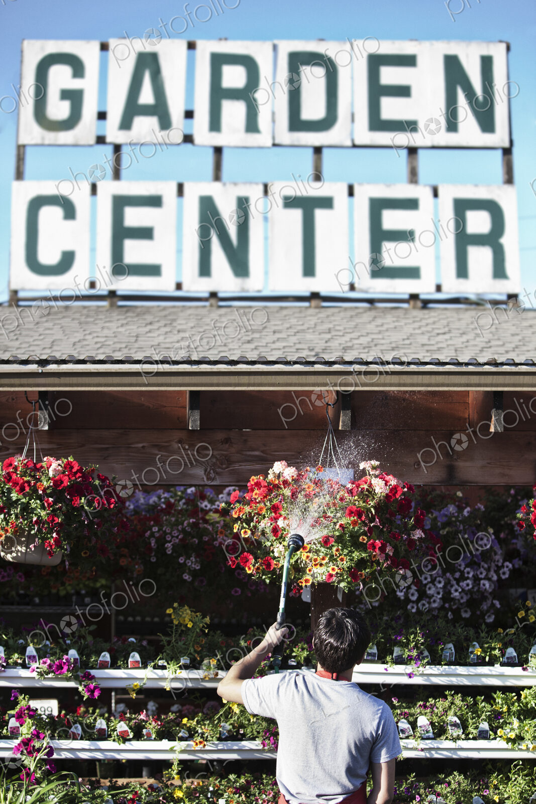 Caucasian man employee watering plants at a garden center nursery.