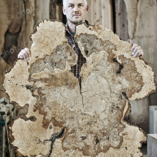 Caucasian man factory worker holding a sawn cross section of a tree trunk in a…