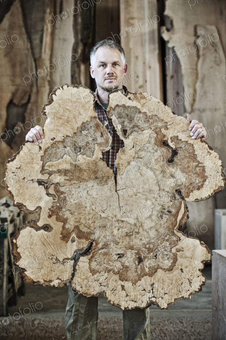 Caucasian man factory worker holding a sawn cross section of a tree trunk in a…