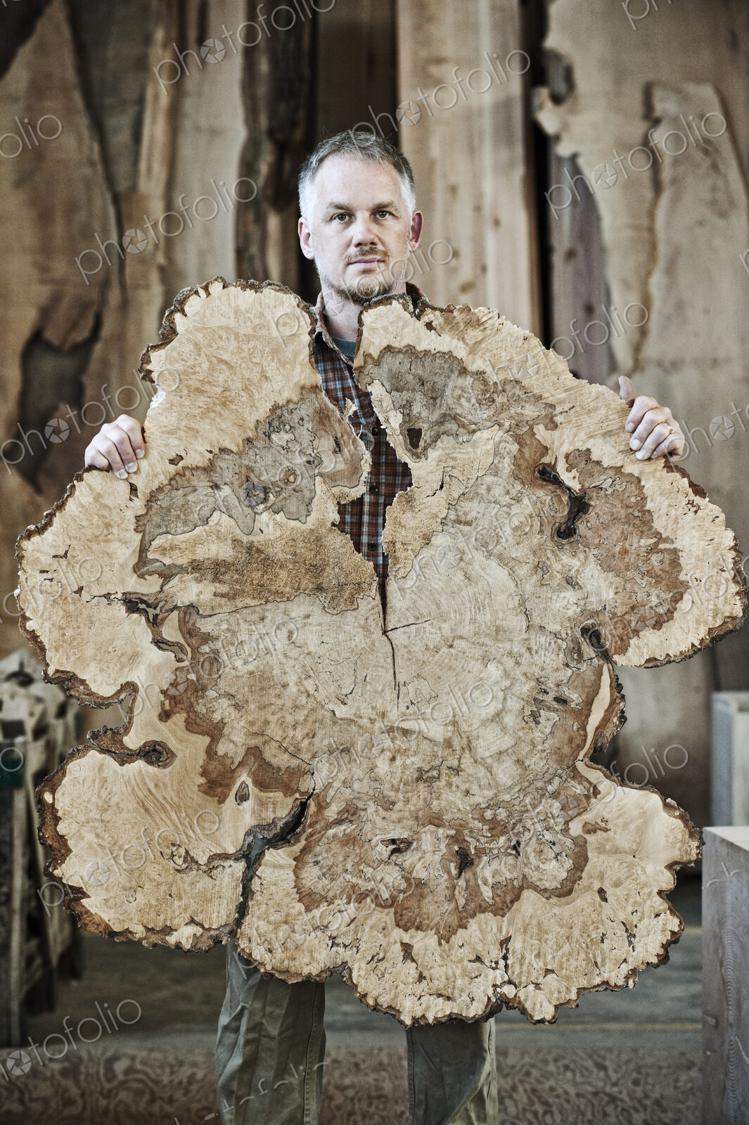 Caucasian man factory worker holding a sawn cross section of a tree trunk in a…