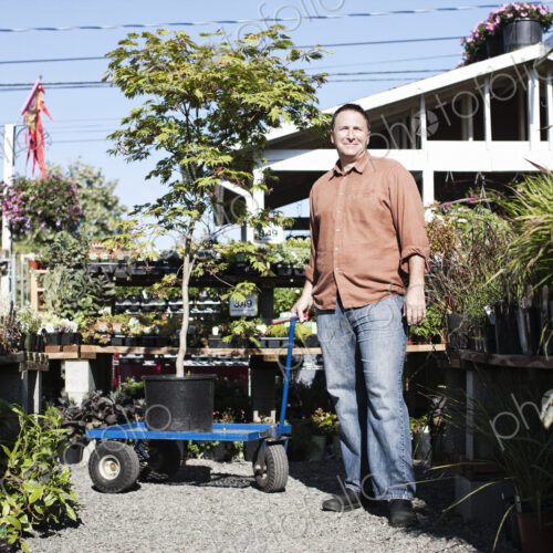 Caucasian man with a potted tree in a garden center nursery.