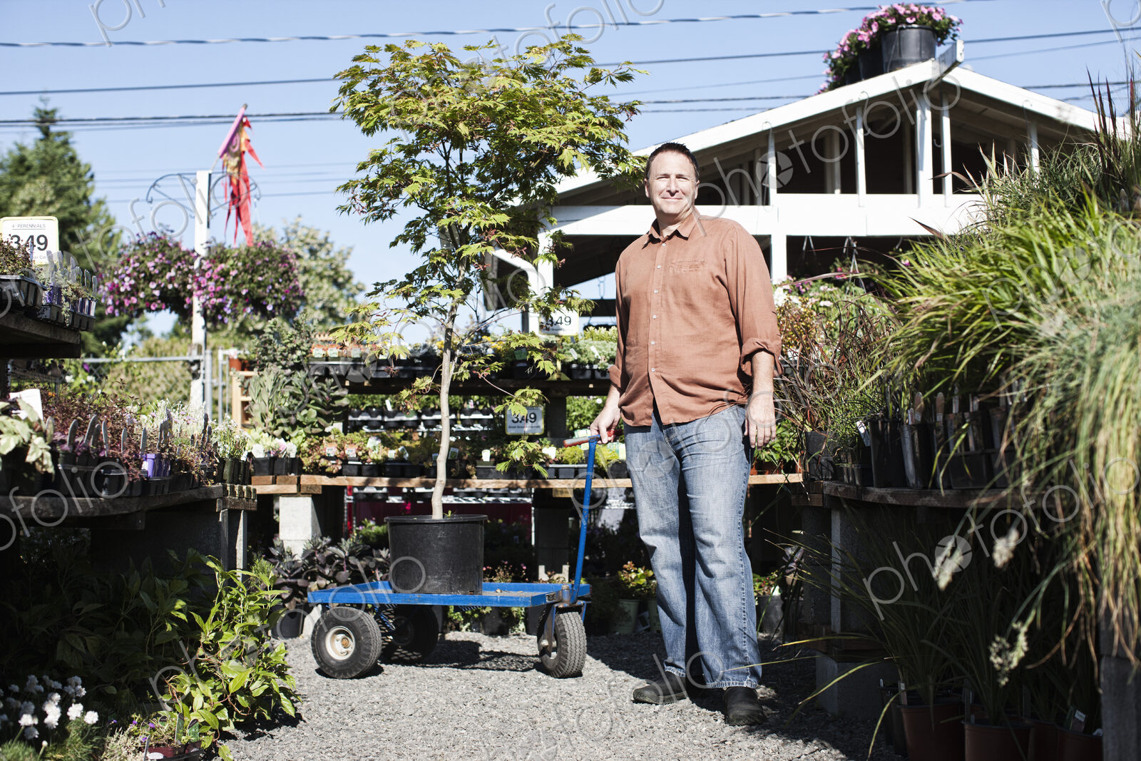 Caucasian man with a potted tree in a garden center nursery.