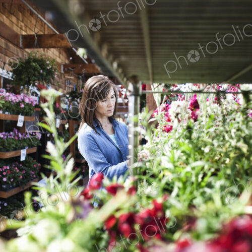Caucasian woman checking on plants in a garden center nursery.
