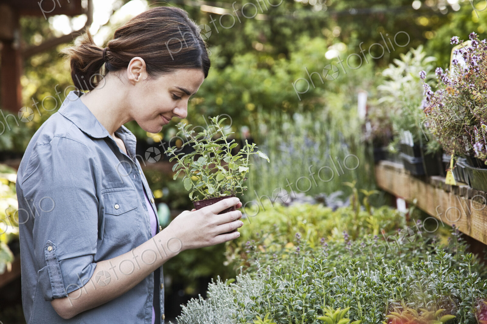 Caucasian woman holding a small plant, an aromatic herb and smelling it, shopping at a…