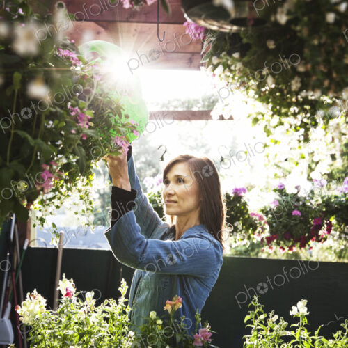 Caucasian woman nursery owner watering plants in the early morning.