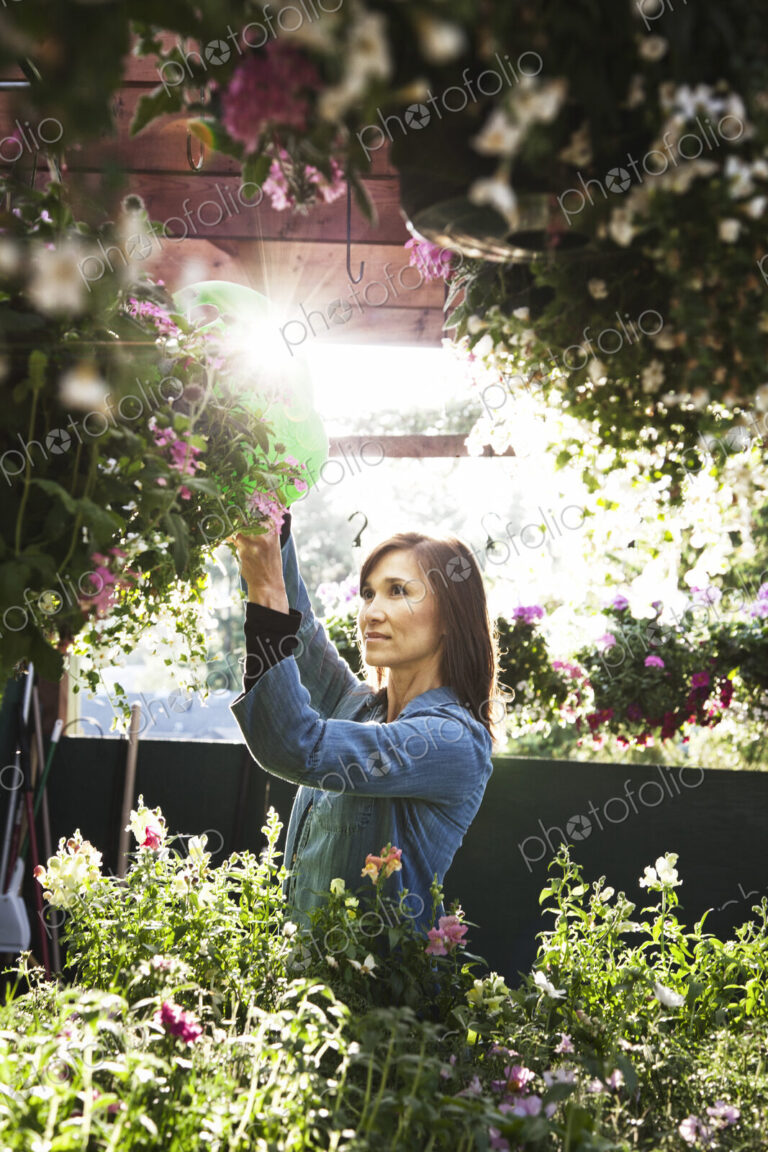 Caucasian woman nursery owner watering plants in the early morning.