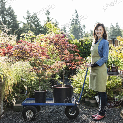 Caucasian woman owner of a garden center nursery with a wagon full of new plants. Caucasian woman owner of a garden center nursery with a wagon full of new plants.