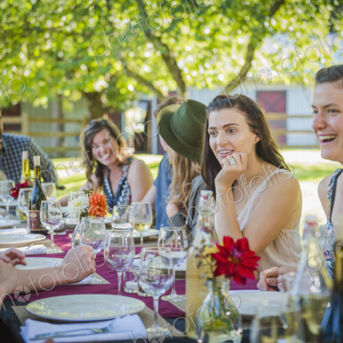 Caucasian women talking at table at party outdoors Caucasian women talking at table at party outdoors