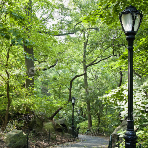 Central Park Walkway Central Park Walkway