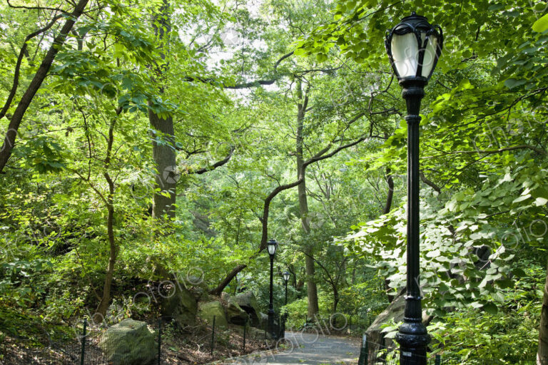 Central Park Walkway