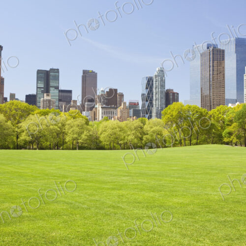 Central Park in New York Central Park in New York