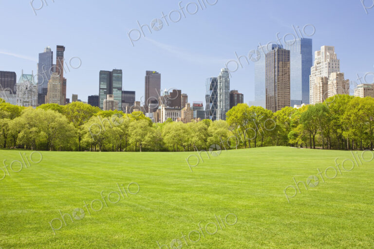 Central Park in New York
