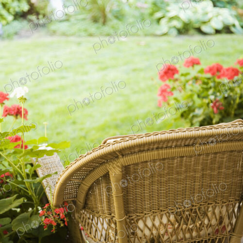 Chair Facing Yard Chair Facing Yard