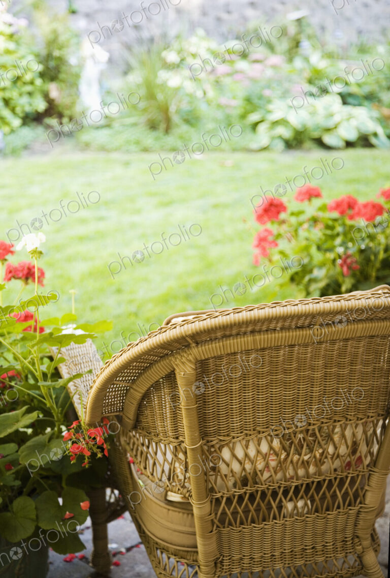Chair Facing Yard