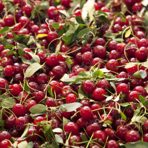 Cherries