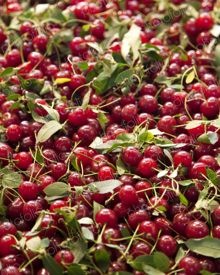 Cherries