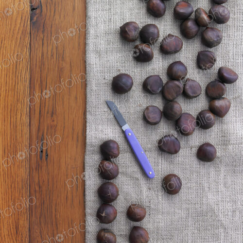 Chestnuts being prepared for roasting. Tabletop, hessian fabric and knife.