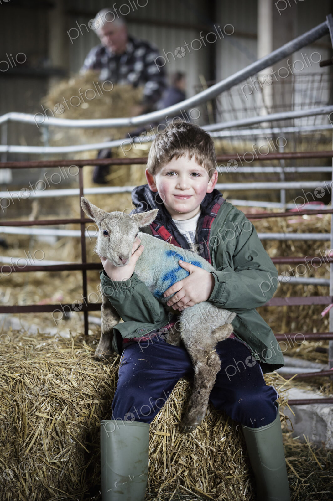 Children and newborn lambs in a lambing shed.