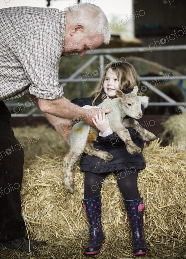 Children and newborn lambs in a lambing shed.