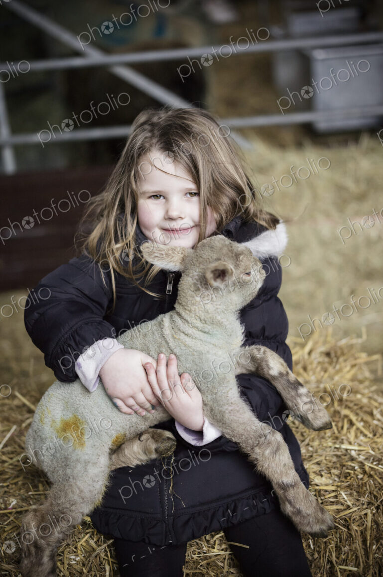 Children and newborn lambs in a lambing shed.
