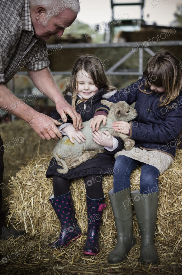 Children and newborn lambs in a lambing shed.
