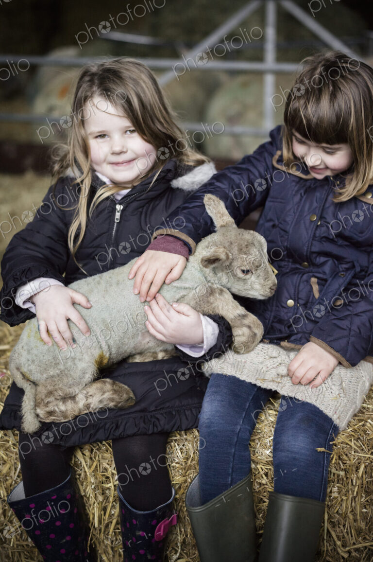 Children and newborn lambs in a lambing shed.