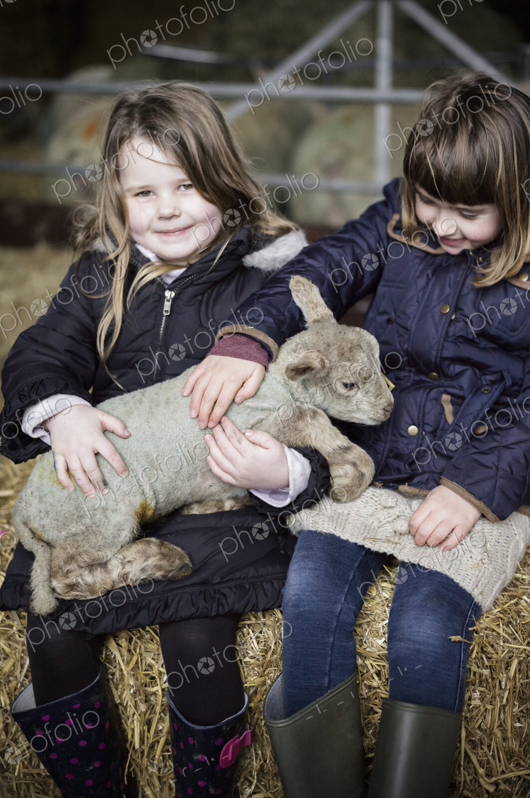 Children and newborn lambs in a lambing shed.