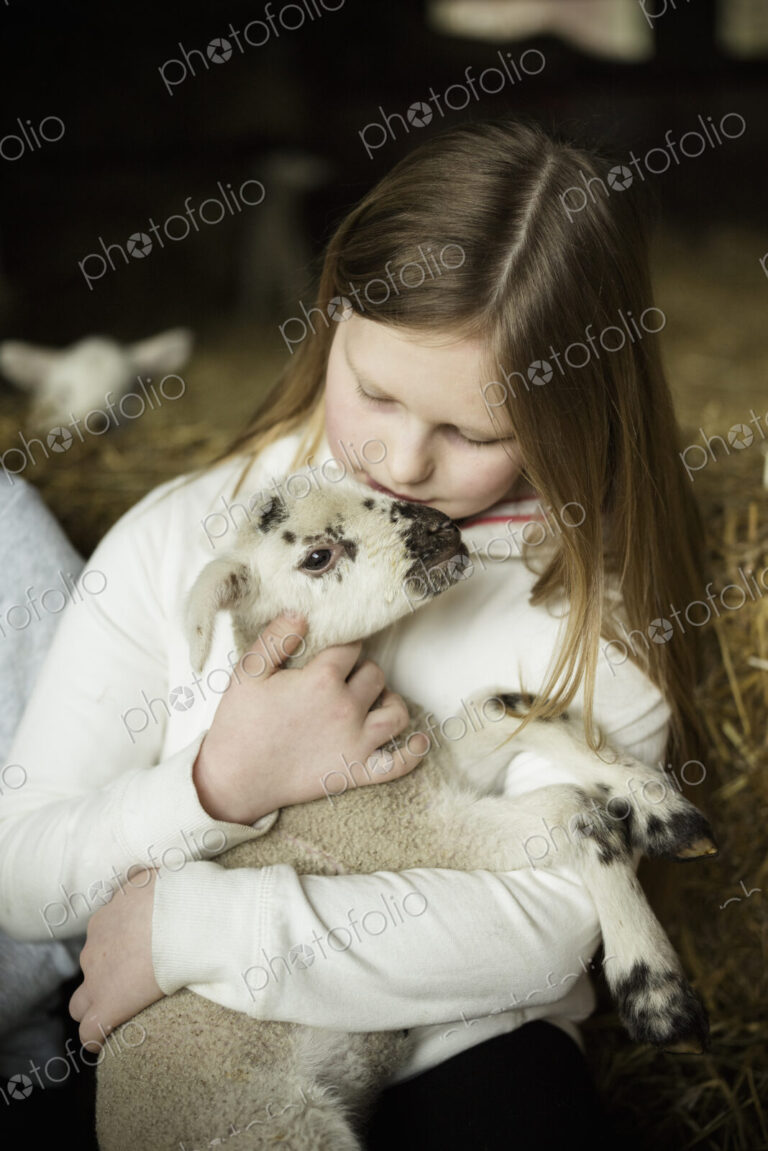 Children and newborn lambs in a lambing shed.