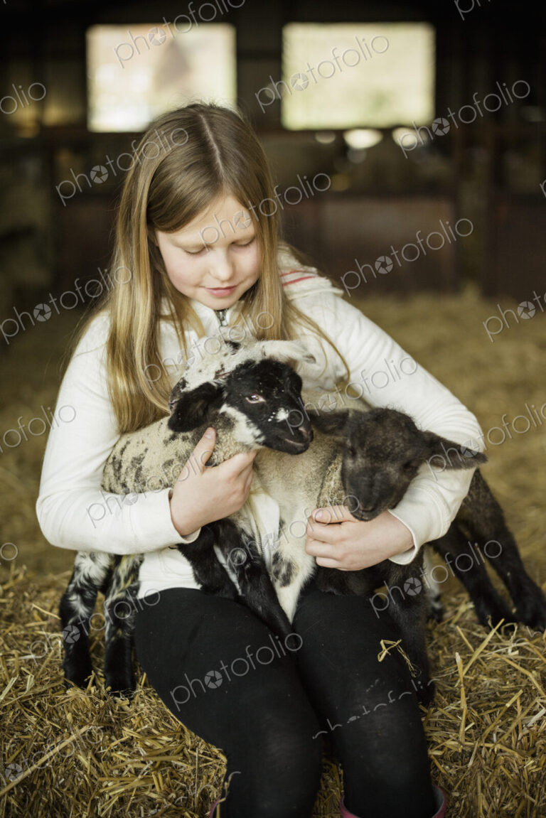Children and newborn lambs in a lambing shed.
