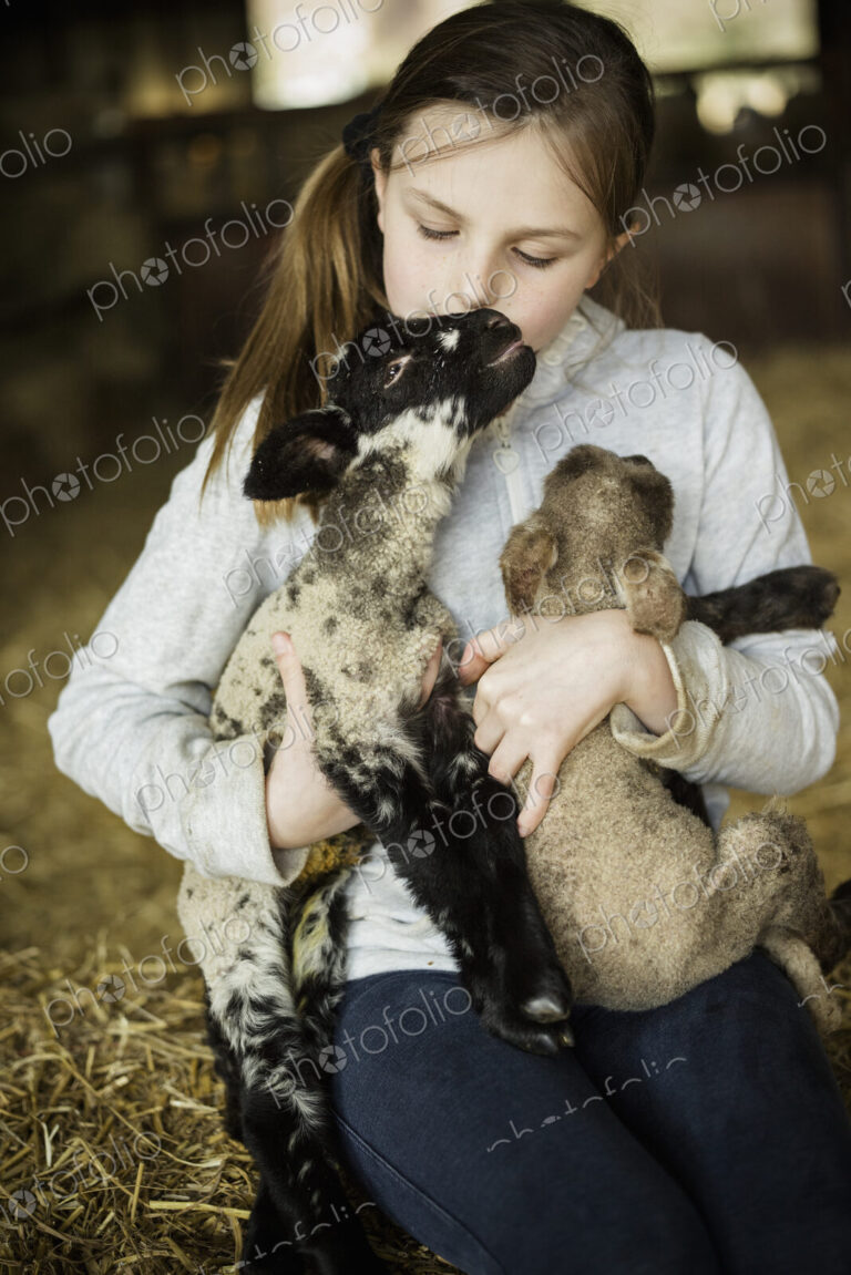Children and newborn lambs in a lambing shed.