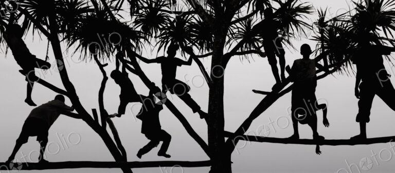 Children playing in a tree in Zanzibar, silhouetted against the sky.