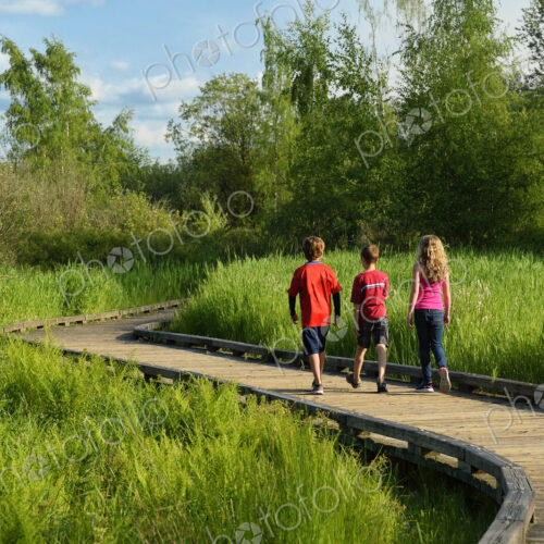 Children walking on wooden walkway in wetland marsh Children walking on wooden walkway in wetland marsh