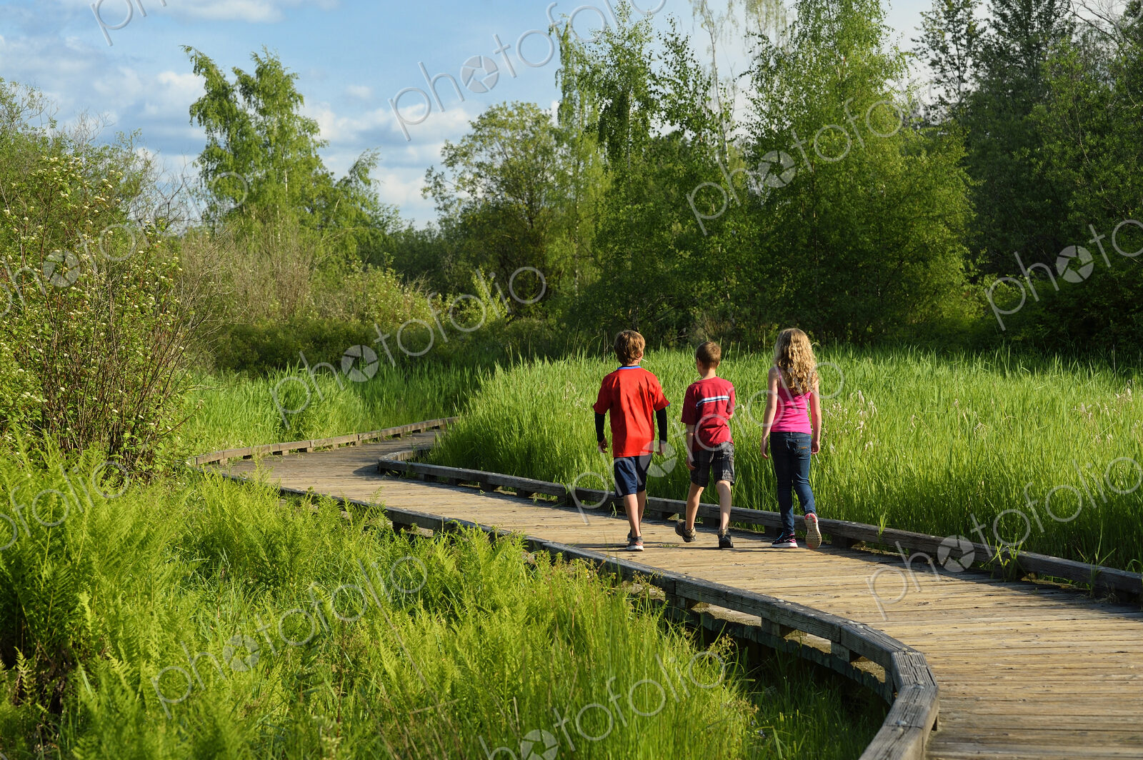 Children walking on wooden walkway in wetland marsh